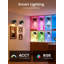 Lampe murale pour tableau, sans fil et rechargeable, avec télécommande et DEL à intensité variable, fonctionnant sur piles.