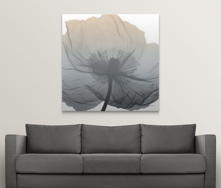 "Manigault" Poppy Earthy Beauty par Kiranjit, reproduction de photo, H 24 po x l 24 po x P 1,5 po, Toile