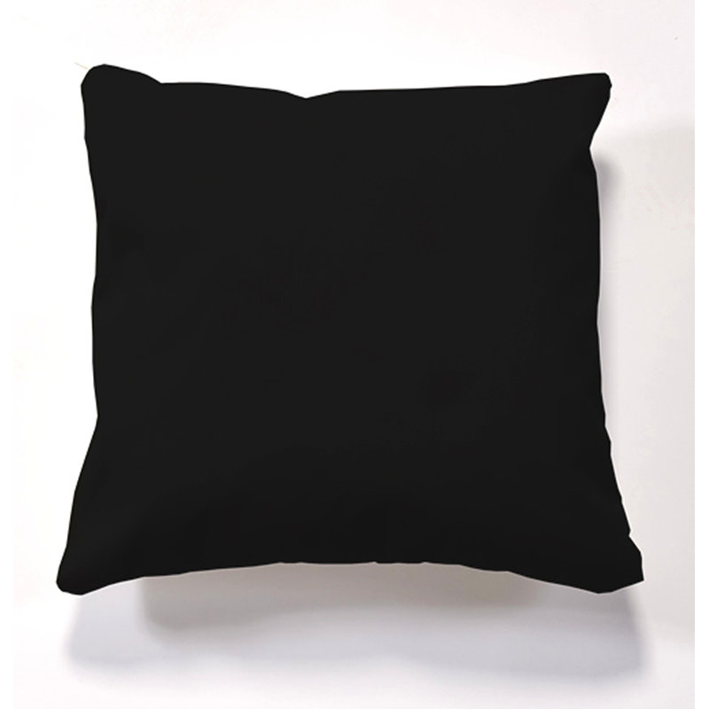 Iorgos Cushion Resistant Cushion With Insert Indoor / Outdoor Square Throw Cushion, Black
