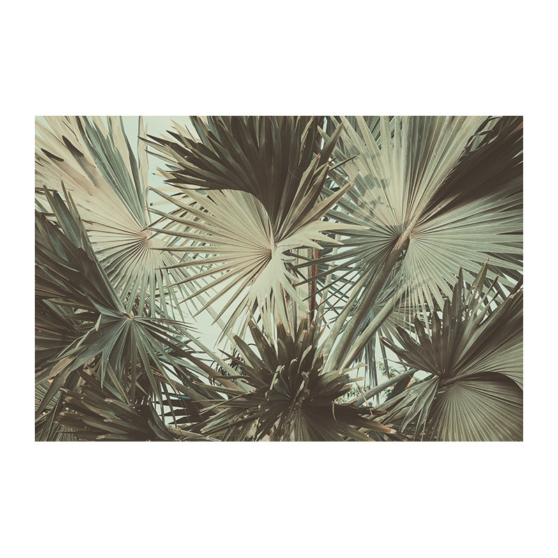 Makris Wallpaper, 208 x 146cm