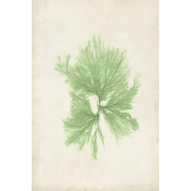 Peridot Seaweed III - Wrapped Canvas Painting, 46cm H x 30cm W x 3.8cm D