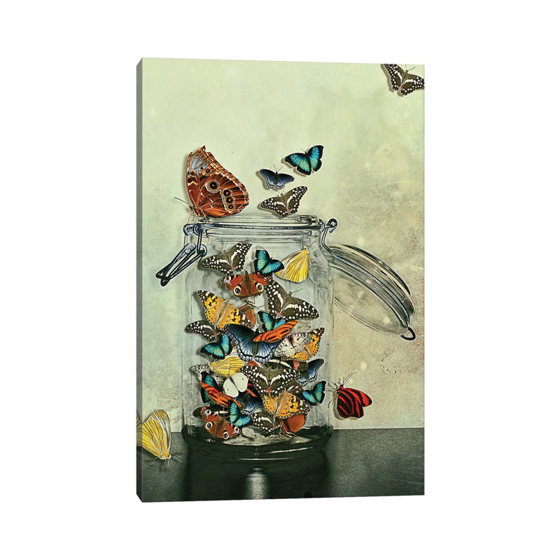 Freedom by Heather Landis - Print on Canvas, 30.48 cm H x 45.72 cm W, Wrapped Canvas