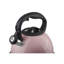 Belfry Kitchen Peniste 3L Stainless Steel Whistling Stovetop Kettle-1034394308