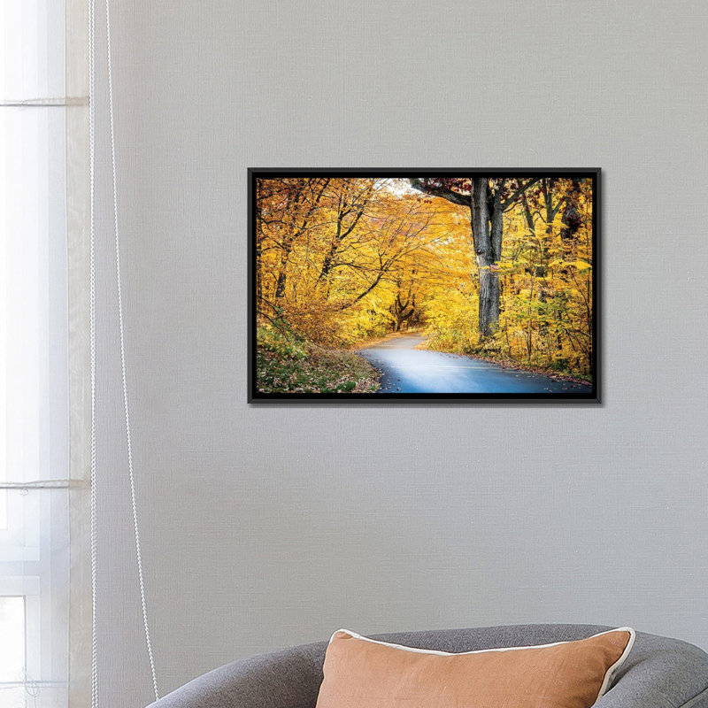 «Autumn's Embrace On 3 Mile Drive», reproduction d'art sur toile encadrée, H 18 po x l 26 po, Noir