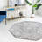 Oriental Indoor Rug-1708479675
