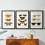 Papillons rétro IV - impression encadrée de qualité supérieure sur mesure mat - 3 pièces-329265523