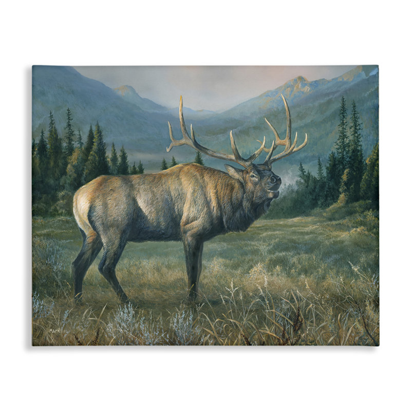 «Powerful Elk in Field», art mural sur toile par Laura Mark-Finberg, H 30 po x l 40 po