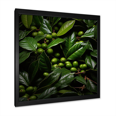" Tropical Robusta Palm Rhythms "