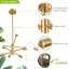Lustre à 8 lumières Llayla-1505389142-1505389143