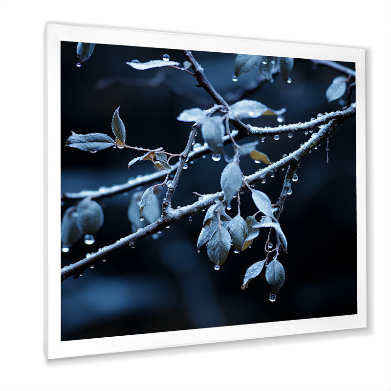 Arbre au clair de lune, arbre d'hiver II - fruits, art mural, Toile tendue, H 30 po x l 30 po x P 1,5 po