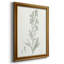 «Botanical Study In Sage III», toile encadrée de qualité supérieure - prête à être accrochée-762282364