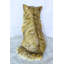 Charmante statue pour chat en bronze de la collection Nifao 12 po x 10 po x H 14 po