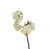 Whitish Green is out of stock