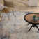 Comer Abstract Indoor Rug