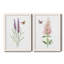 «Wildflower Botanical I», ensemble de 2 reproductions d'art-1717515701