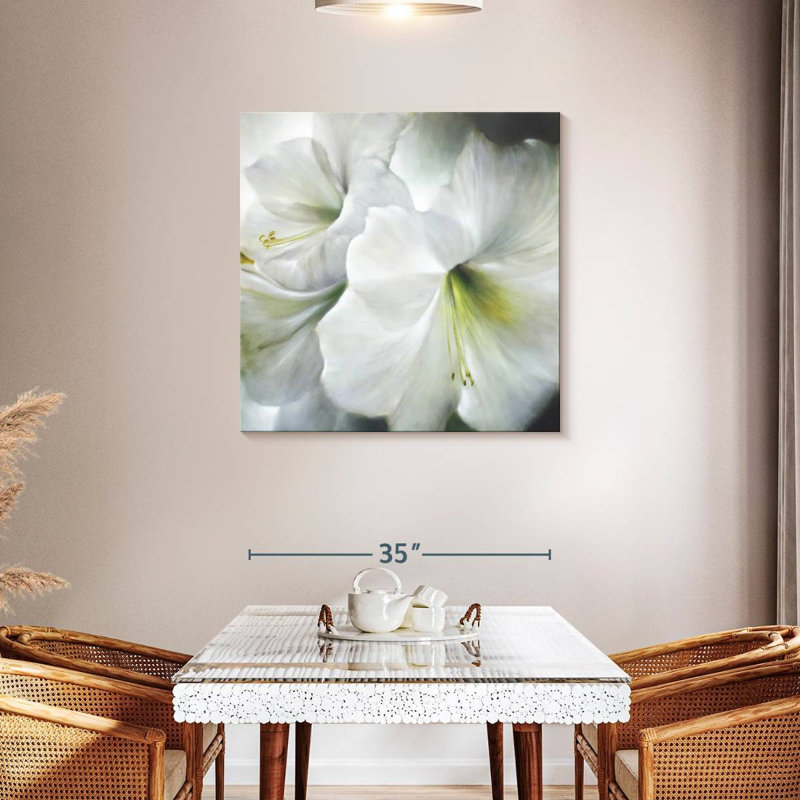 Amaryllis blanc II, H 36 po x l 36 po