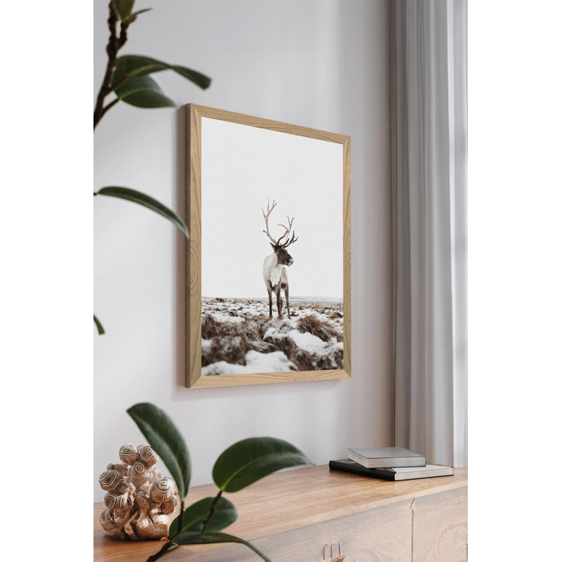Peinture décorative