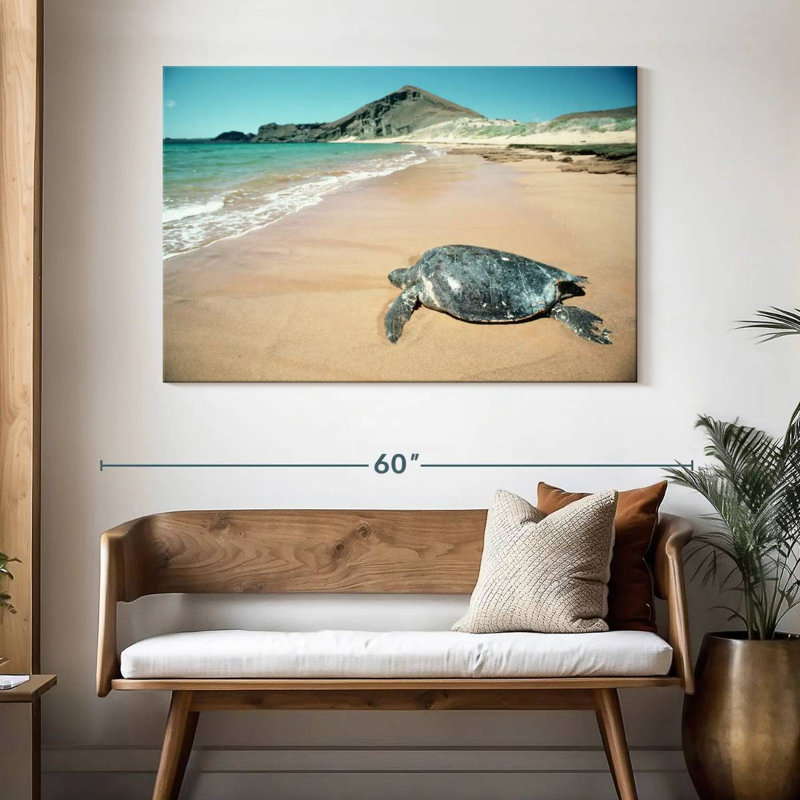 Brampt Galapagos Loggerhead Turtle, 32" H x 48" W