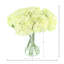 Hydrangeas Arranged in a Glass Vase