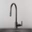 Kitchen Faucet / Pull-Out With Dual Spray / Linear-920580100