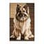  Tapis lavable pour chien de berger de race blanche-1413841543