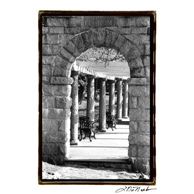 Passageway by Laura DeNardo - Wrapped Canvas Print