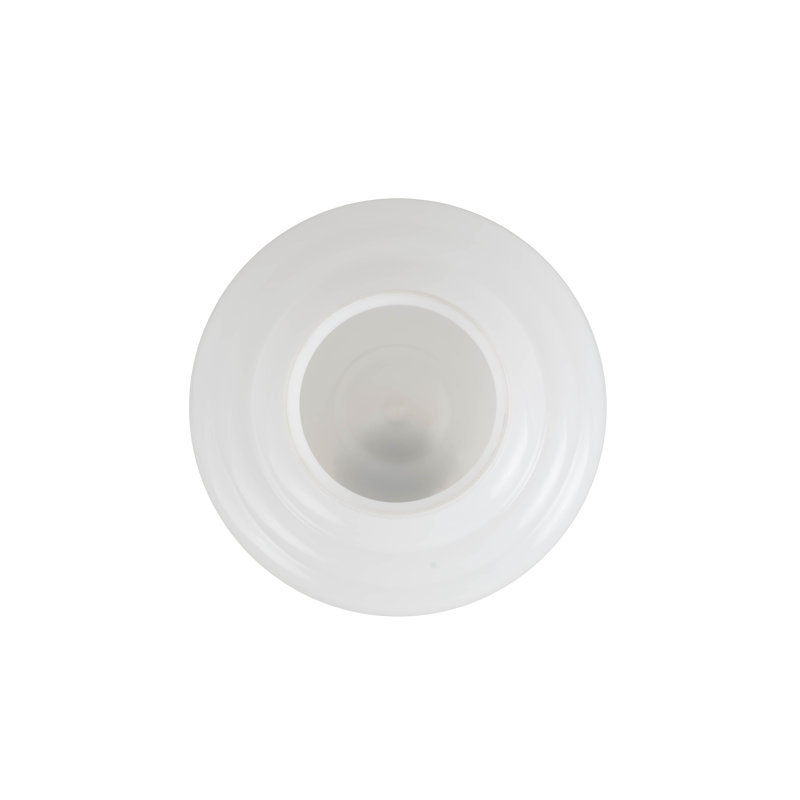 Novelty Lamp Shade