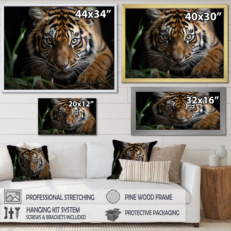 Portrait de tigre brun - art mural tigre, Encadrement doré, H 16 po x l 32 po x P 1 po
