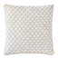 Amberlynn Square Pillow Cover & Insert
