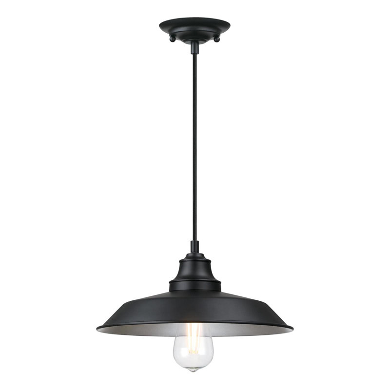Luminaire suspendu en forme de dôme à 1 lumière Iron Hill, Métal, Noir mat