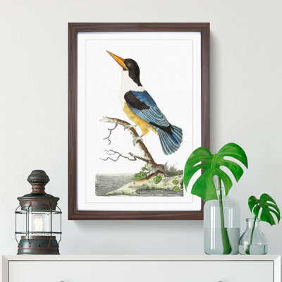 Blue Kingfisher by George Shaw - Picture Frame Painting