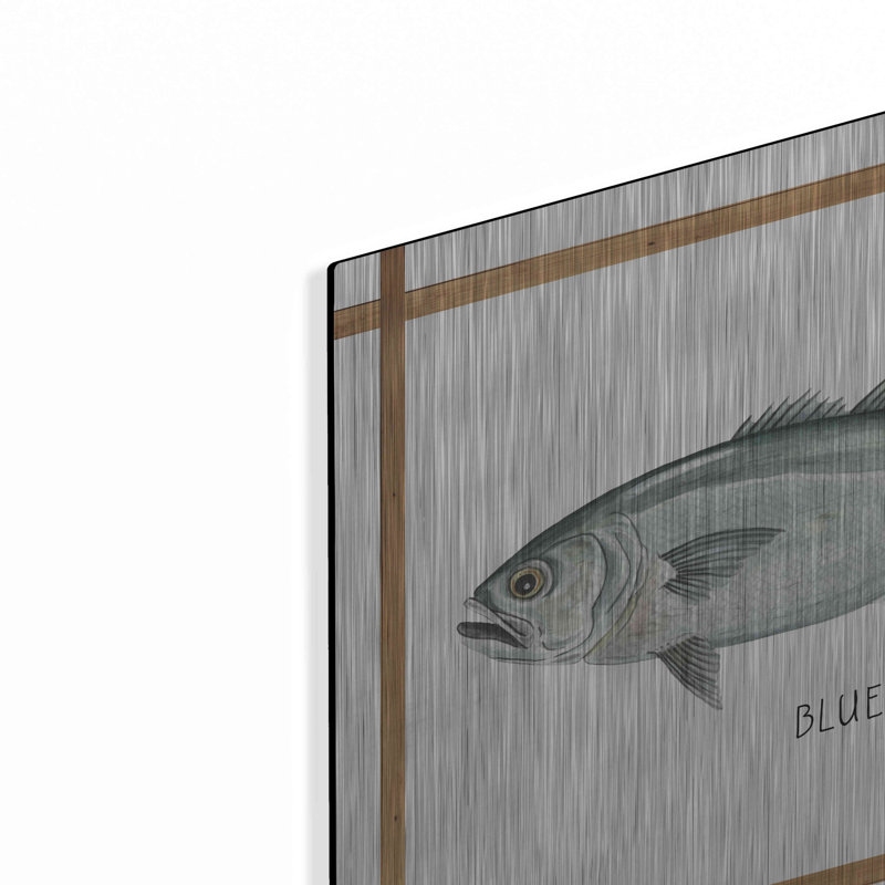 Beachcrest Home ™ «Bluefish on White» par Cindy Jacobs, art mural en métal, H 12 po x l 16 po