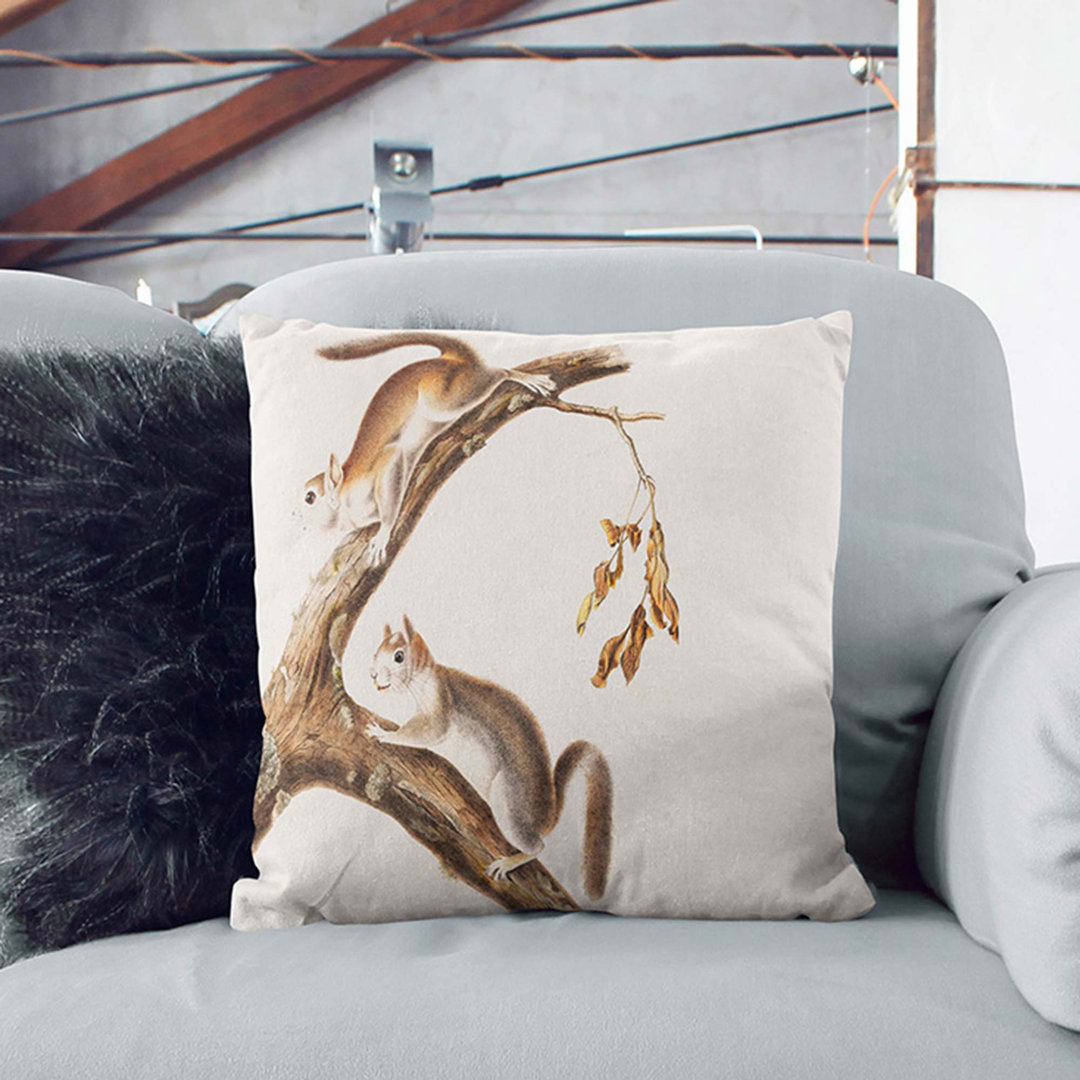 Downy Squirrels by J.W. Audubon Cushion with Filling