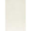 Area Rug in Cream