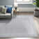 Hassinger Indoor / Outdoor Rug
