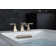 Clearflo Slotted 1.5" Leg Tub Drain with Overflow