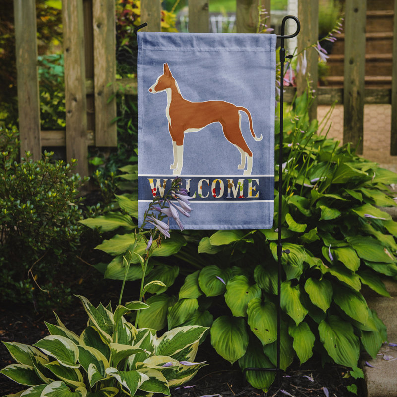 Drapeau impérial Shih Tzu Welcome Garden taille 9EC59815D20042D399EE9FCE8498D299, Lévrier ibizan