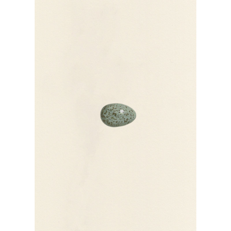 by Studio L57 Nouvelle, 15" H x 12" W
