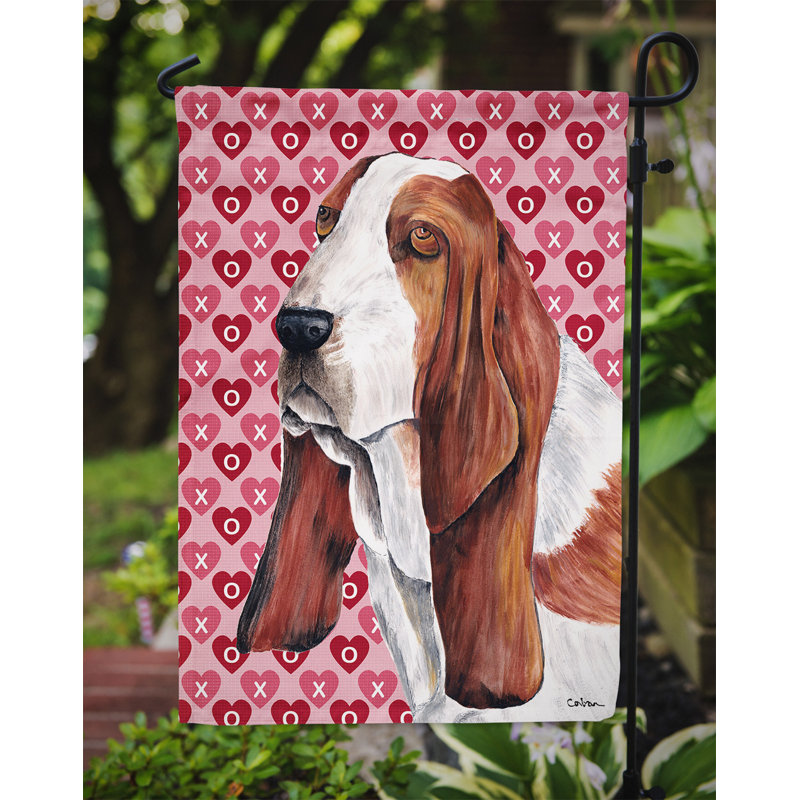 Drapeau de jardin Varastad, Basset hound (brun et blanc)