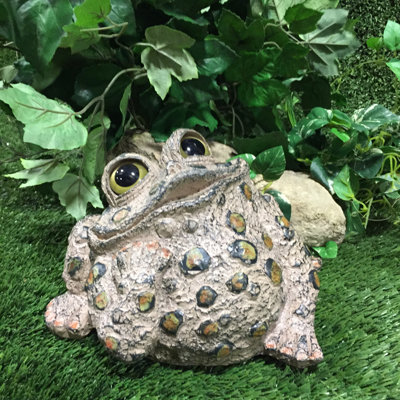 Statue de jardin fantaisiste crapaud «Dreamer»