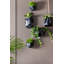 Tiggs Ceramic Hanging Planter-1001592598-1001608216