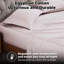 Ensemble de draps unis à poche profonde en coton égyptien à contexture de 400 fils-1384106001-1354663121