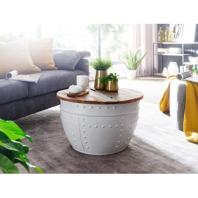 Provencher Solid Coffee Table with Storage