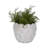 Stoneware Ceramic Planter with Embossed Scale Texture and Scalloped Rim Decorative Modern Pot-602994538