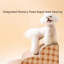 Escalier pour chien de compagnie