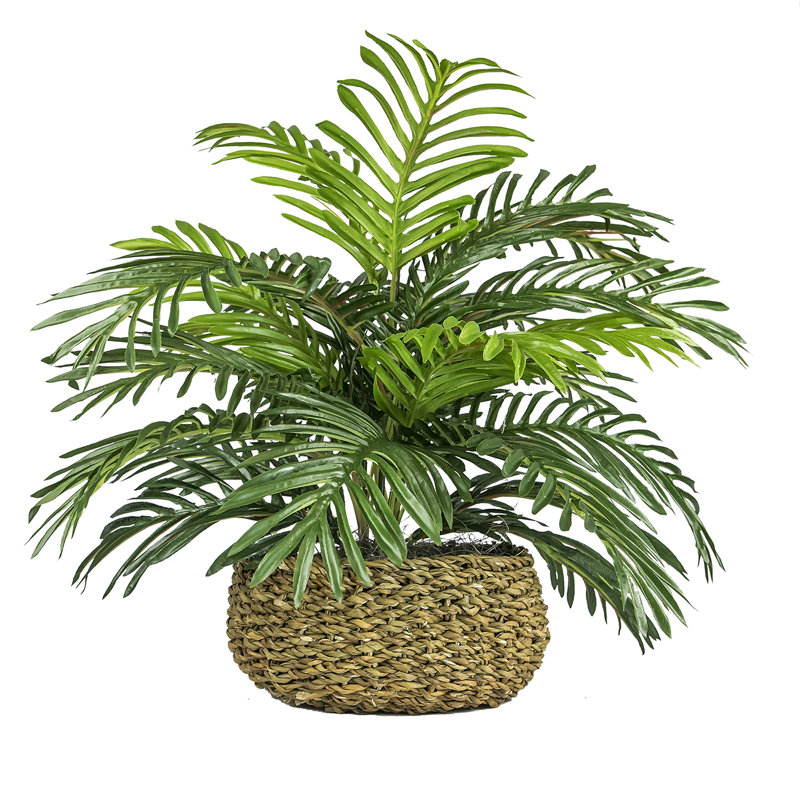 14'' Faux Palm Plant in Wicker/Rattan Basket