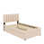 Beige est en rupture de stock