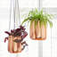 Iron Hanging Planter-110956617