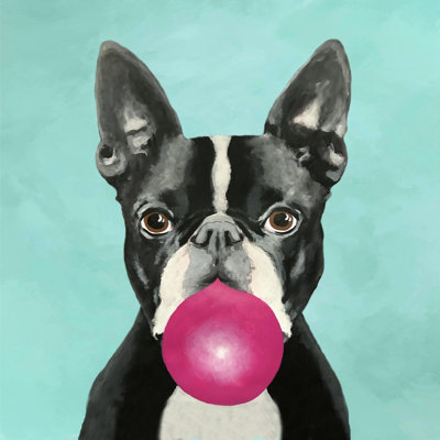 " Boston Terrier Blowing Bubblegum " by Coco De Paris