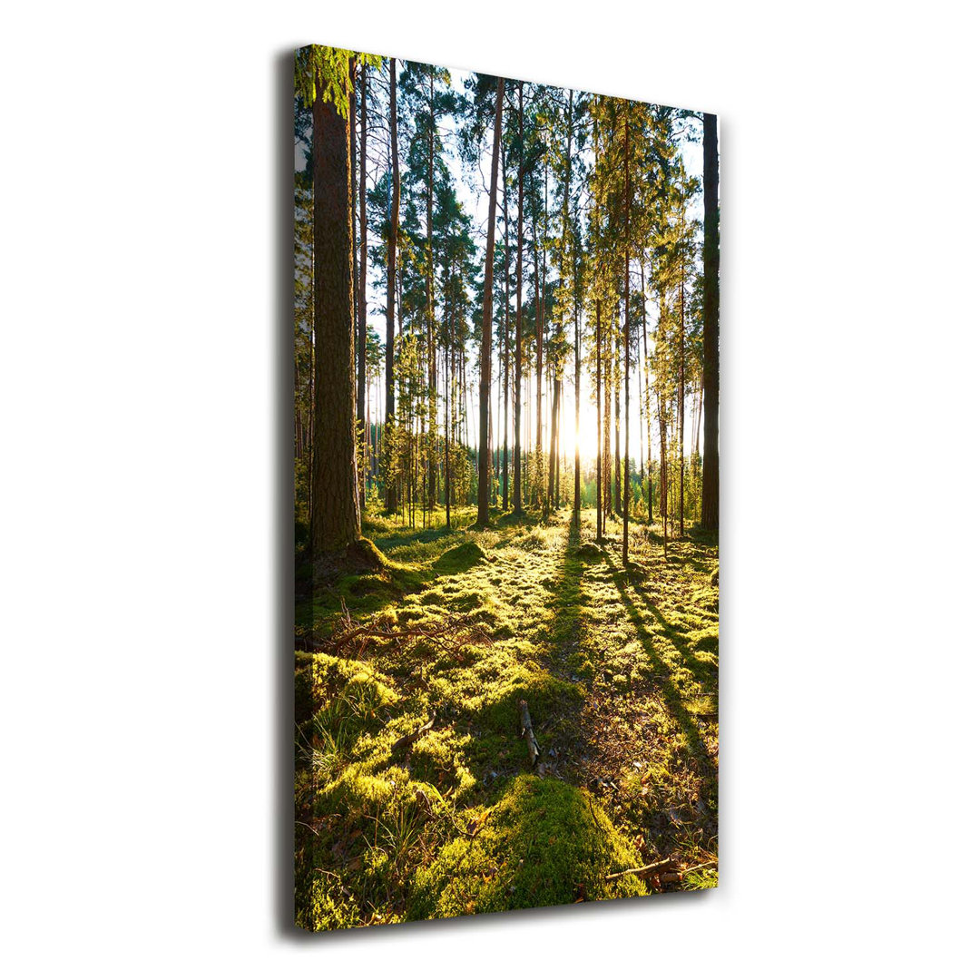 A Pine Forest - Kunstdrucke auf Leinwand - Wrapped Canvas